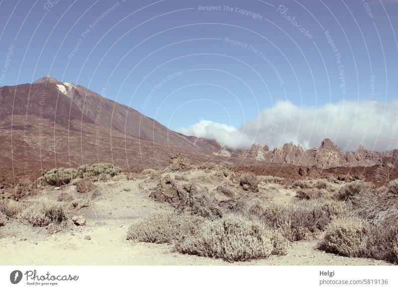 El Teide National Park on Tenerife mountain Island Canaries Landscape Nature Plant Environment Wild plant Rock Sparse Sky Clouds Spain Mountain