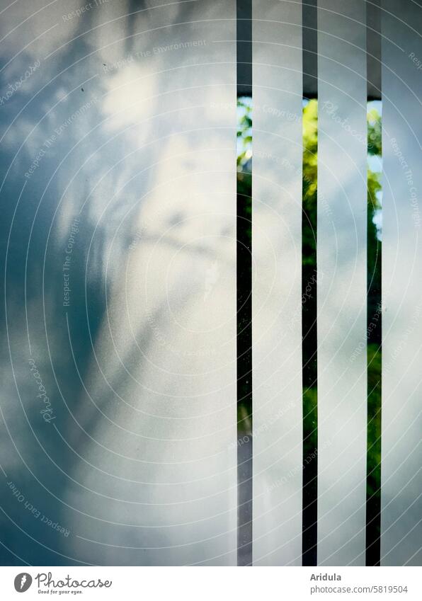 Light and shadow on a pane of glass Shadow Visual spectacle Shadow play Glass front door Frosted glass Sunlight trees Green Shaft of light Contrast shadow cast