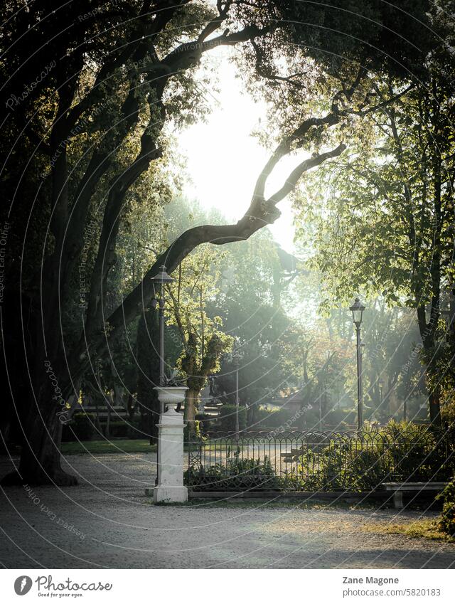 Villa Borghese gardens, Public park in Rome, Italy, early morning sun roman rome dawn summer Summer Garden Architecture Nature public park italian life in Rome