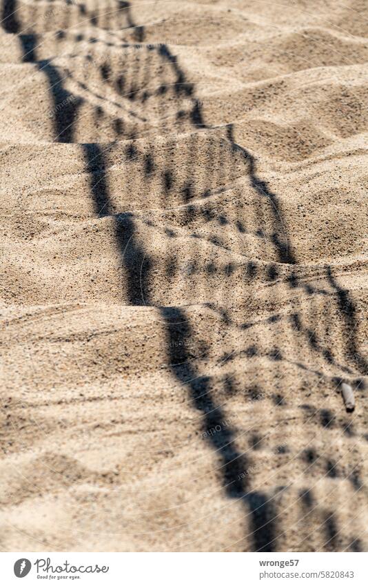 beach volleyball Beach Sandy beach Ocean coast Summer ball net Volleyball net shadow cast Deserted Vacation & Travel Summer vacation Relaxation Exterior shot