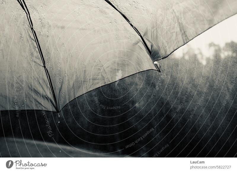 drizzle Drizzle Umbrella Drops of water Wet Damp Bad weather Rain rain shelter Rainy weather raindrops Umbrellas & Shades Weather Water Black & white photo