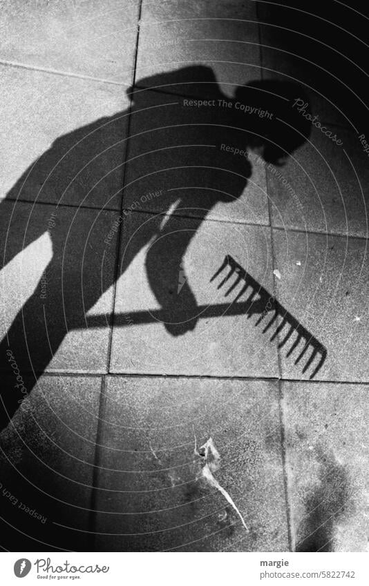 literally | I'll show you the rake! Rake Gardening Shadow Exterior shot Woman bird's-eye view Gardening equipment Tool terrace Shadow play Orderliness Gardener