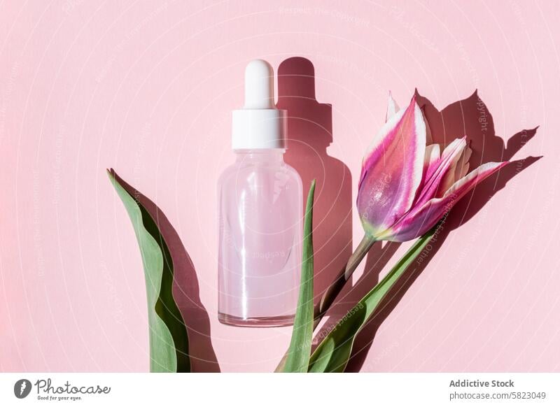 Serene beauty product and tulip with playful shadows skincare serum dropper bottle sun pink backdrop delicate soft tranquil setting cosmetic floral white cast