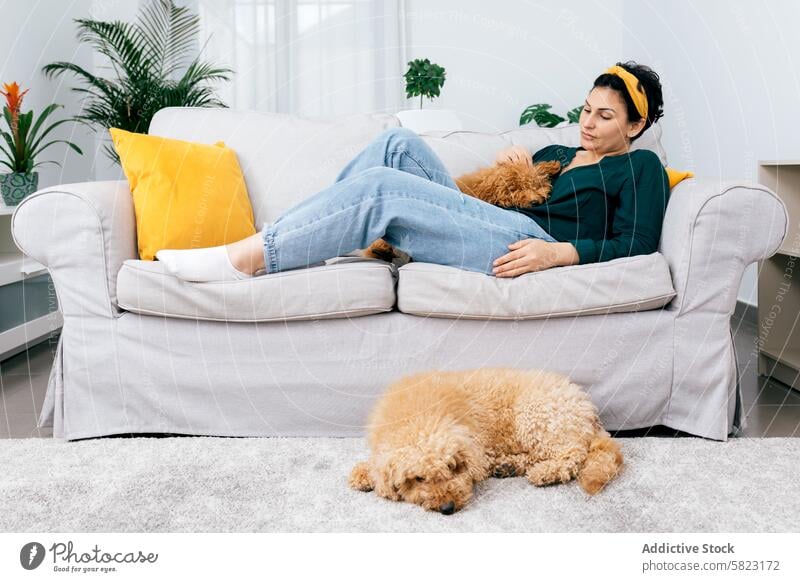 Woman relaxing on couch with her pet dogs woman sofa living room relaxation fluffy cozy modern bright indoor home comfort leisure peaceful quiet female adult