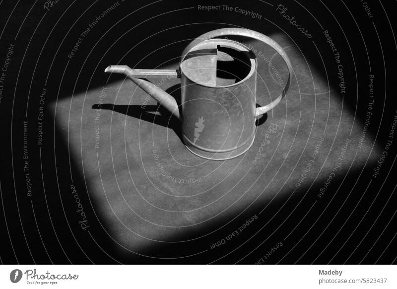 Classic zinc watering can with light and shadow in the sunshine in the designer apartment of a country house in Rudersau near Rottenbuch in the district of Weilheim-Schongau in Upper Bavaria in black and white