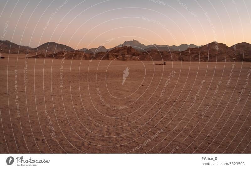 Desert landscape at twilight in Egypt, Deserts Adventure Travel Africa Dune adventure africa arid background barren dawn dead desert dirt dry dust egypt