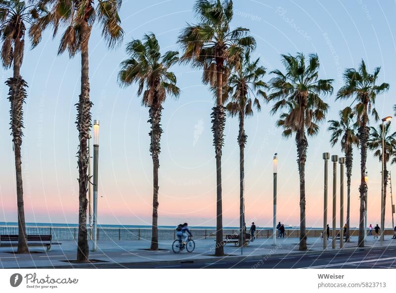 A popular promenade on the Mediterranean beach for cyclists and walkers alike Street Promenade riverside road Ocean coast Mediterranean sea South palms series