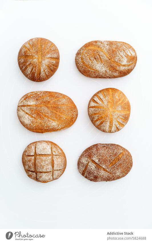 Assorted Sourdough Breads on White Background bread sourdough artisan bakery homemade fresh baked crust loaf wheat flour water salt pattern golden brown food