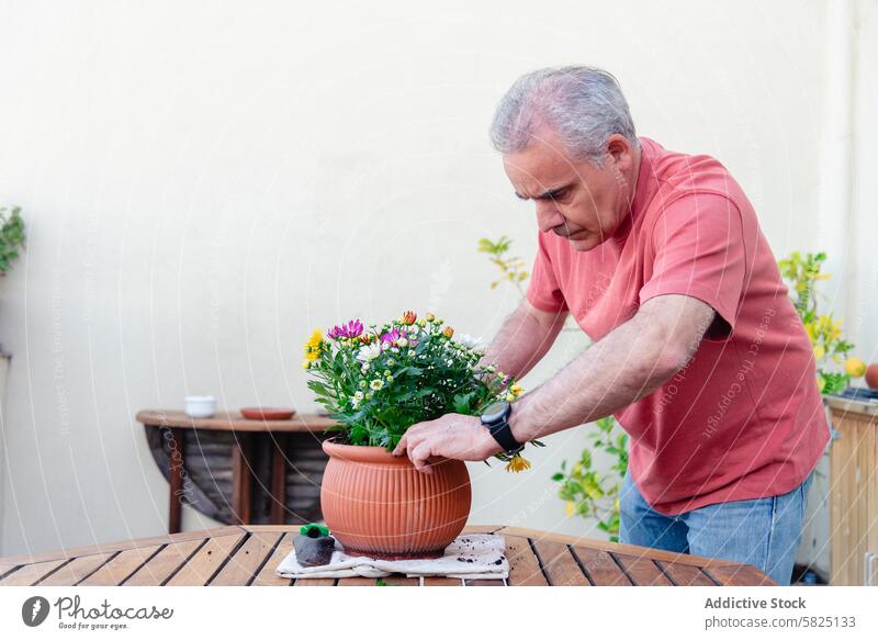 Senior man planting flowers in a pot outdoors senior garden gardening hobby retire retirement activity care nurture nature floral terrace wooden table