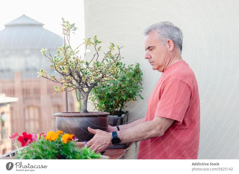 Senior man leaving a plant on a sunny balcony senior care flower outdoor container garden mature adult hobby focus horticulture gardening urban lifestyle nature