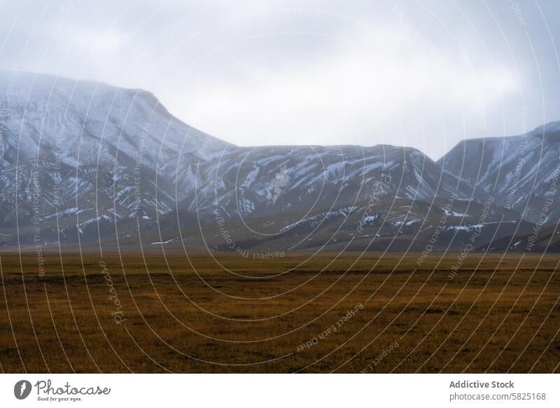 Misty snow peaks and golden fields in Iceland iceland highland mist somber sky nature landscape outdoor mountain travel scenery remote wilderness nordic cold