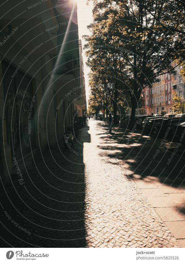 Light and shadow in my street Sidewalk Shadow Sunlight Lanes & trails off Back-light Deciduous tree Spring Prenzlauer Berg Berlin Silhouette Neutral Background