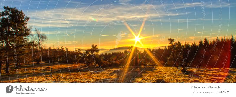 Sunrise, Sunrise Environment Nature Landscape Plant Animal Sky Cloudless sky Clouds Horizon Sunset Sunlight Spring Summer Autumn Fog Ice Frost Tree Grass Bushes