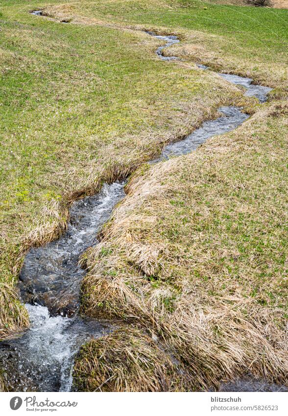 A small stream flows through the meadow Brook Brooks Water Nature River Landscape Green Summer Flow Environment naturally Wet Meadowstream Elements mountains