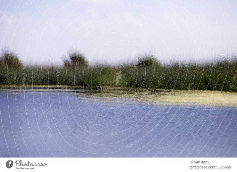 Take a deep breath at the fjord Fjord Water Waves Blue grasses shrubby Green Nature Sky Beautiful weather Deserted Colour photo Denmark relax tranquillity