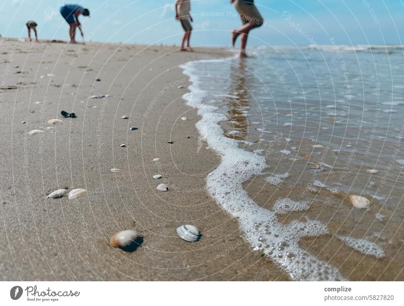 at the beach Beach dutch Sandy beach seashells people vacation Waves holidays Surf Sun Summer Barefoot Katwijk aan Zee relaxation voyage