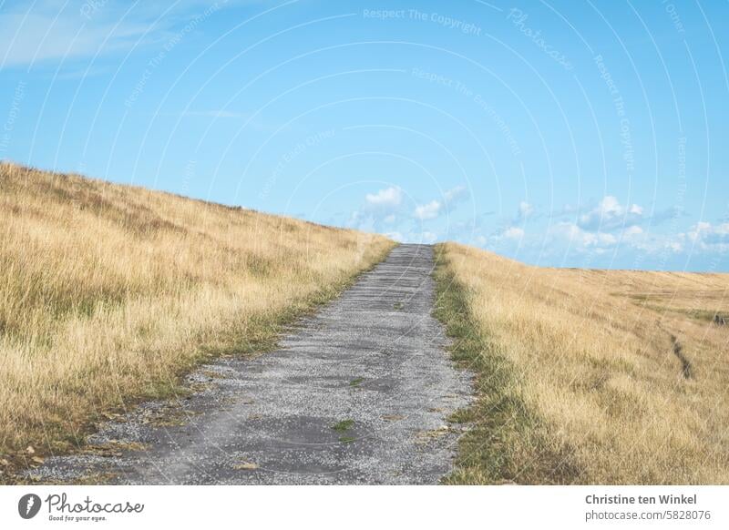 a summer's day on the dyke Dike dike grass Grass off Sky Clouds North Sea dike coastal protection Nature Meadow Summer Deserted Beautiful weather