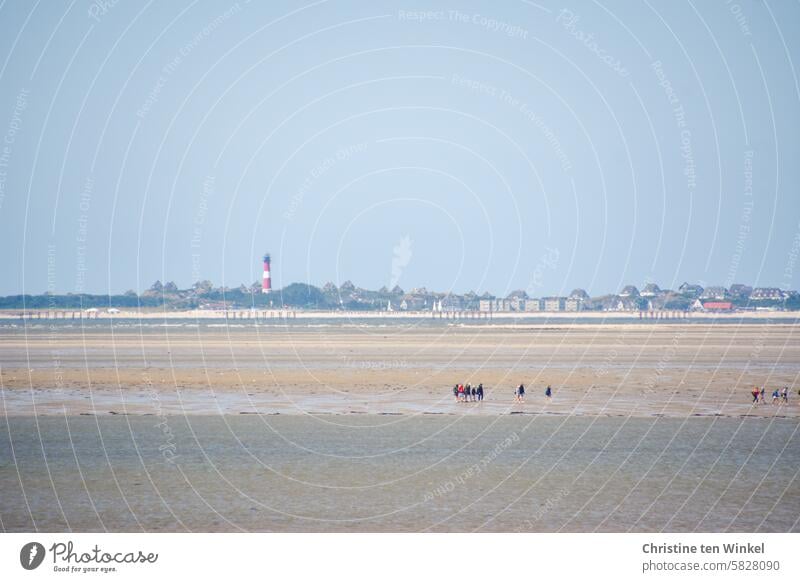 Mudflat hikers between Föhr and Sylt Walk along the tideland mudflat hiking tour Tidal flat walkers Tide Low tide North Sea Mud flats Ocean Water Wet Relaxation