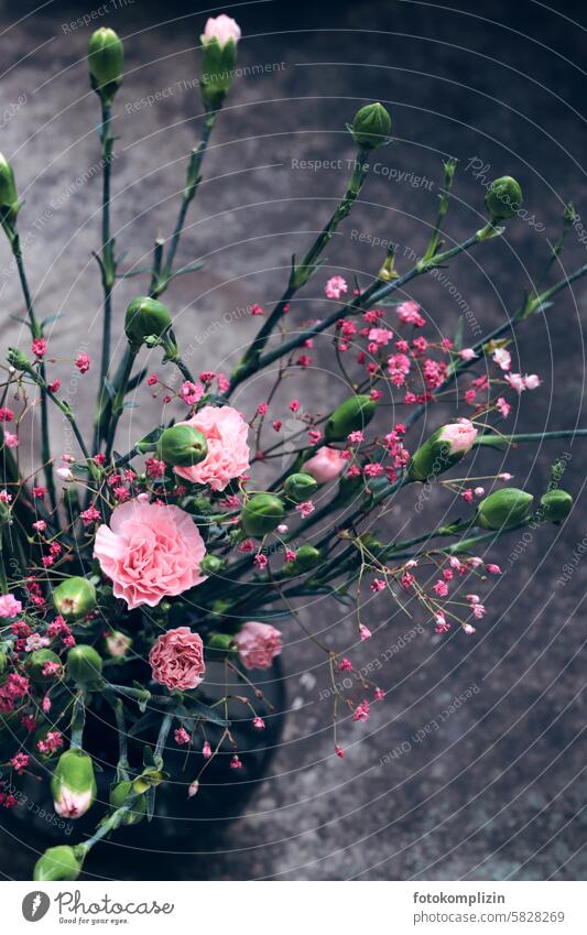 Bouquet of pink carnations in a dark vase cloves Pink Dark dark background Noble buds flowers Cool decoration Rough Style Blossom Flower