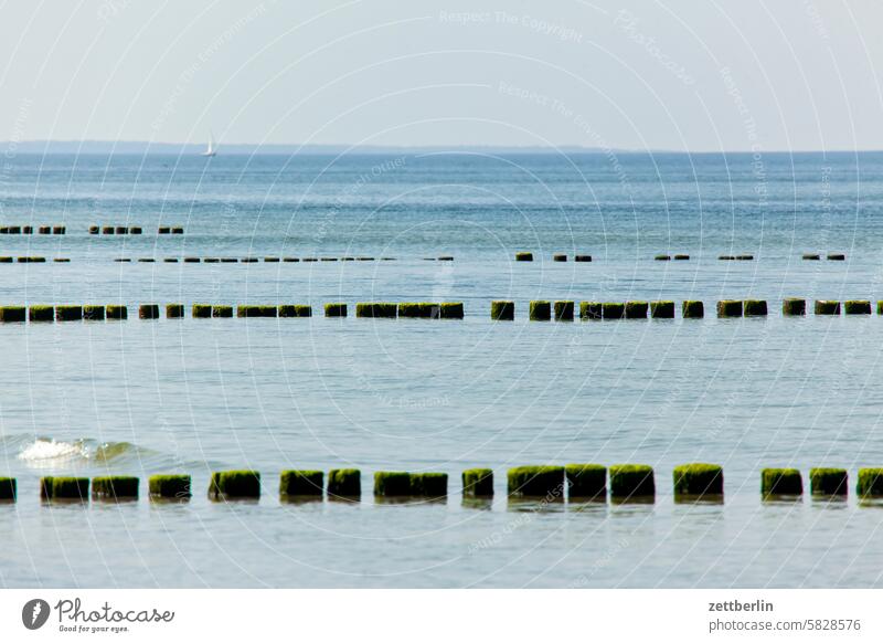 Hiddensee - Groynes outlook holidays Far-off places Spring greaves Horizon Island kloszer Mecklenburg Ocean MV nezuendorf Baltic Sea voyage Direction Longing