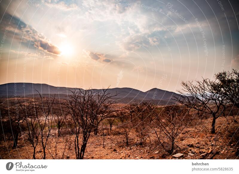 in the kaokoveld Twilight Dream Africa Colour photo Loneliness Impressive magical Adventure Landscape Desert silent Hope Dark beautifully Far-off places