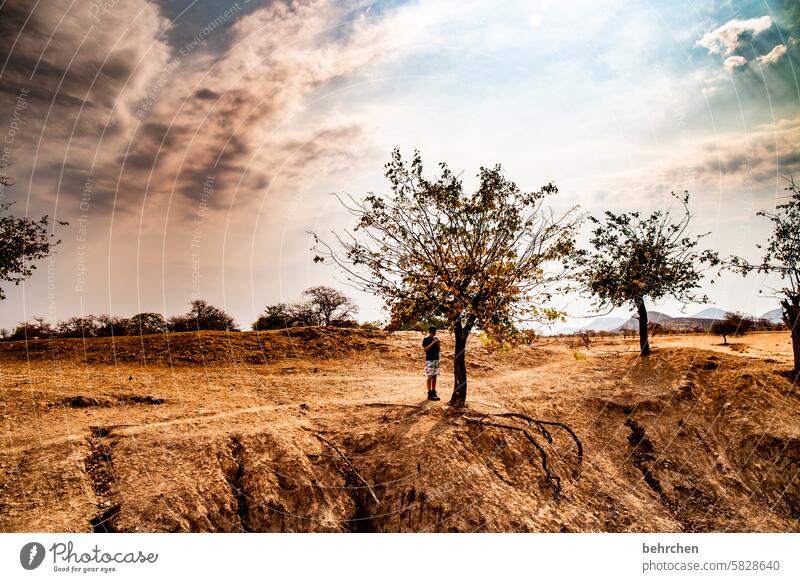 dusty epupafalls Climate change Drought aridity Dry Tree Far-off places Africa Colour photo Namibia Wanderlust Nature Landscape Vacation & Travel Adventure