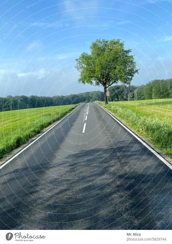 highway Country road Traffic lane empty street In transit Motoring two lanes Lane markings Roadside Out of town on the road Pavement Transport Lanes & trails