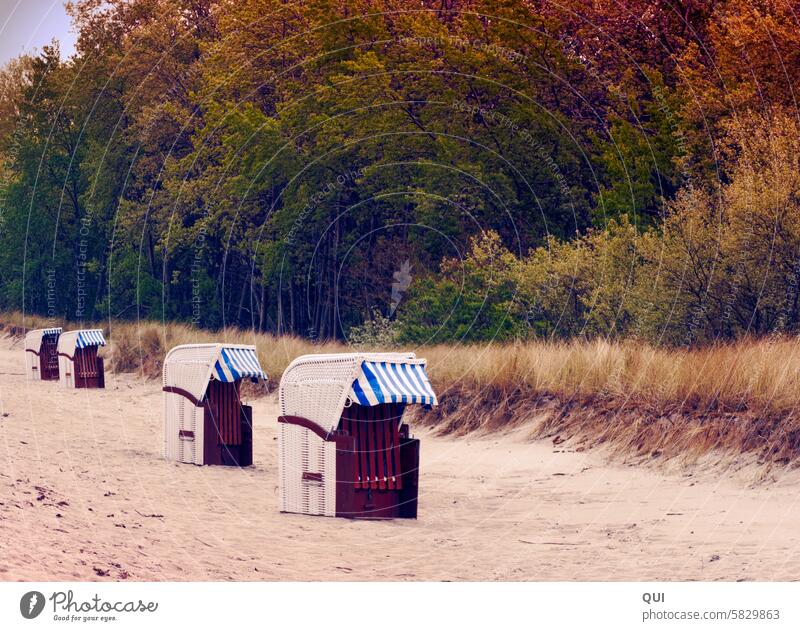 Beach chair in the evening beach chairs Sand Baltic Sea Evening Ocean Closed Holiday season Moody Light coast Vacation & Travel Tourism Relaxation vacation