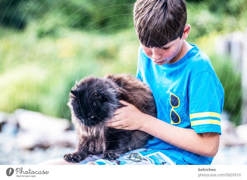 cuddles Vacation & Travel Trip Adventure Far-off places Boy (child) Infancy Child Pet Cat Animal face Pelt Cute Contentment Love of animals Caresses