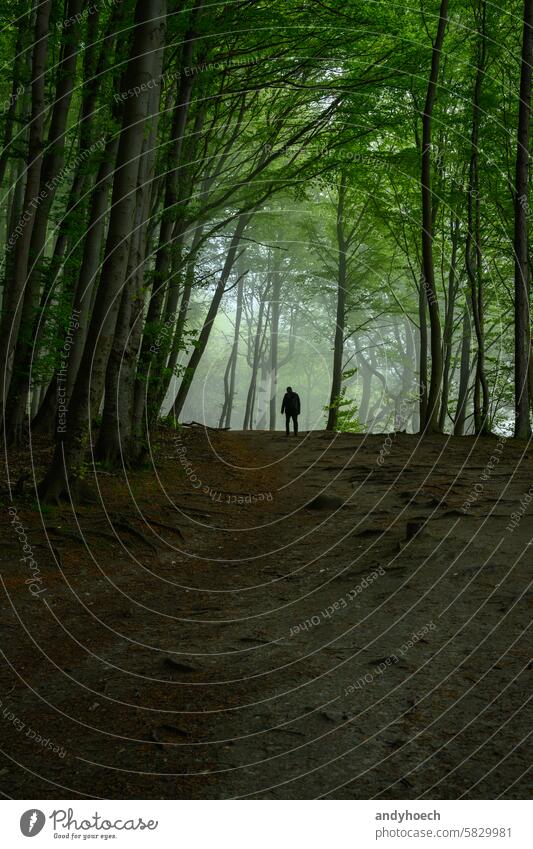 Hiking in the Jasmund National Park in foggy weather on the island of Ruegen, Germany active adventure alone dark dreamlike environment europe explore fantasy