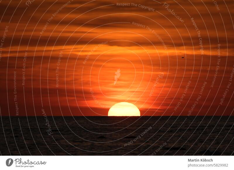 Sunset on the horizon of the Baltic Sea. Orange sun sinks into the water. Romantic sunset sunbeams sunshine reflection wavy coast romantic travel nature Swarm