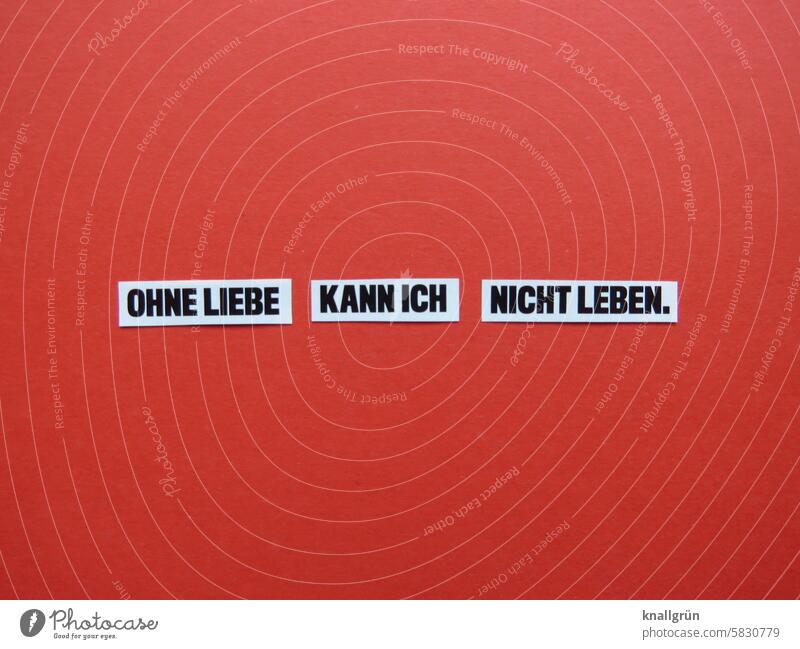 I can't live without love. Love Text Life Emotions Word Letters (alphabet) Characters Typography writing Communicate communication Communication Deserted