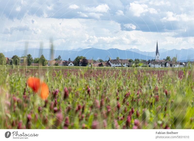 Wielenbach near Weilheim in Upper Bavaria with St. Peter's Church weilheim Unterhausen Church spire Germany