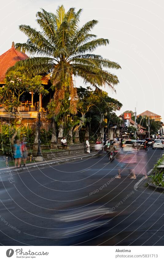 Streetlife in Ubud, Bali, Indonesia golden hour streetlife street photography Palm tree fast blurry object Vacation & Travel Asia Colour photo Exterior shot