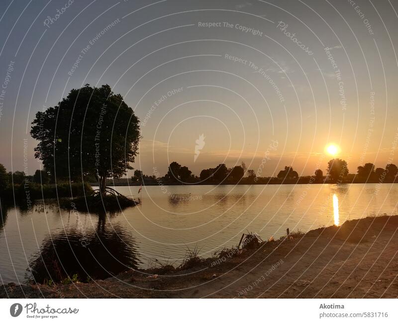 Sunset over lake in Indonesia with reflection of tree Lake Tree Evening Blue sky Water Landscape Dusk Sky Nature Twilight Calm Exterior shot Relaxation Sunlight