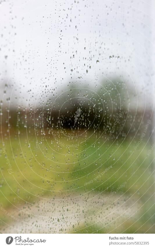 Rain on the window pane Window Drops of water Water Window pane Wet Glass Blue Autumn Clouds Bad weather Sadness Sky raindrops Gray Damp Reflection Gloomy Cold