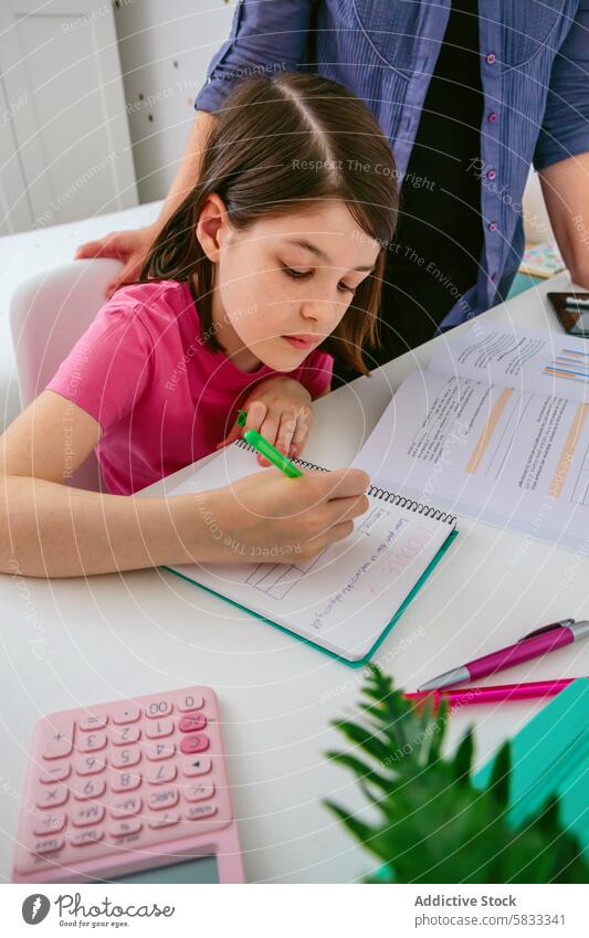 Girl concentrating on homework with calculator nearby girl focus studying plant desk concentration bright room education learning student child pink shirt