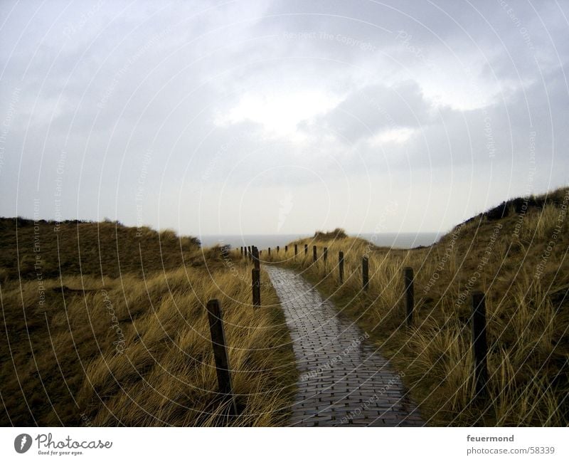 ...and dark clouds came up... Clouds Wet Hill Fence Storm Cold Langeoog Beach dune North Sea Sky Rain Lanes & trails Thunder and lightning