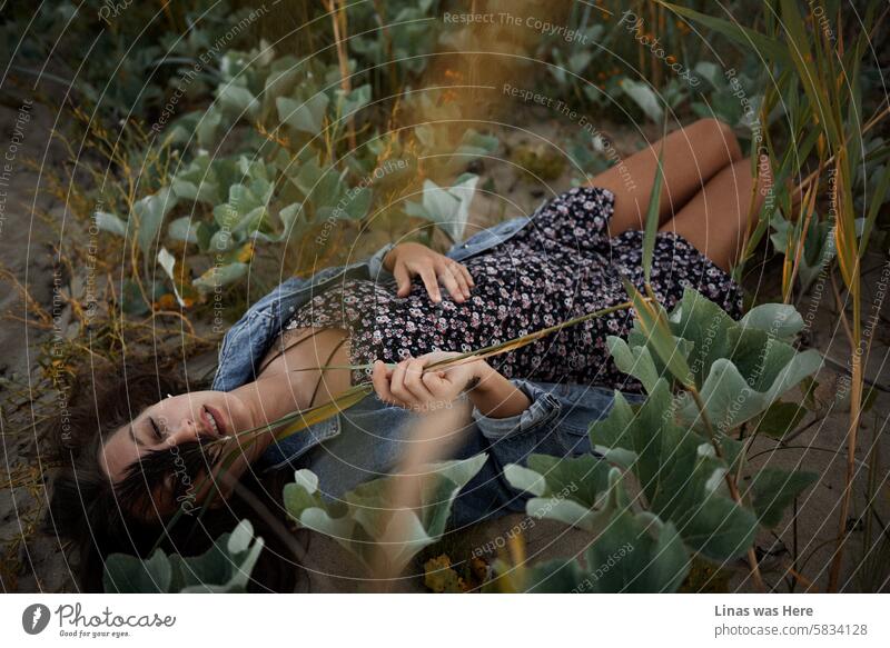 A gorgeous girl in the dunes is almost asleep. Her beauty is visible from a distance as she lies peacefully on the sand. She's wearing a blue jeans jacket and a summer dress. The weather is perfect, making this a picturesque scene of a pretty woman.