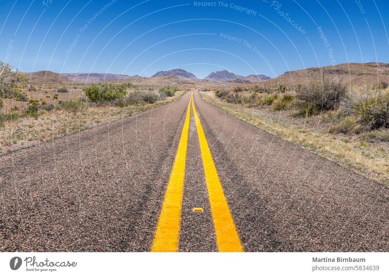 Long straight road in Texas, backroads of Texas landscape way asphalt forward nature direction lane street sky nobody highway cloud empty america texas usa