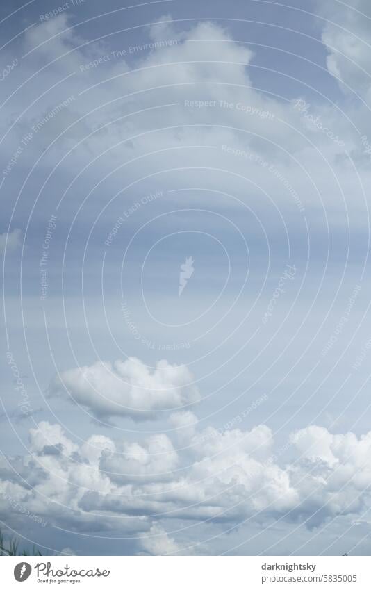 Cloudy sky with beautiful subtle colors cumulus Clouds Tall Portrait format Climate change Adjustment Weather Cloud field cloud Spectrum Meteorology Blue Gray