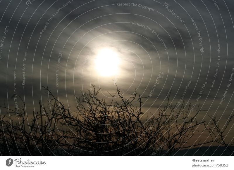 Sunny Eyes Open Bushes Clouds Dark Fog Light Shadow Blue Bread Node