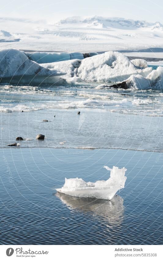 Serene waters with floating ice and distant snowy mountains tranquility iceland nature landscape sky blue cold serene glacier lagoon arctic scenery outdoor