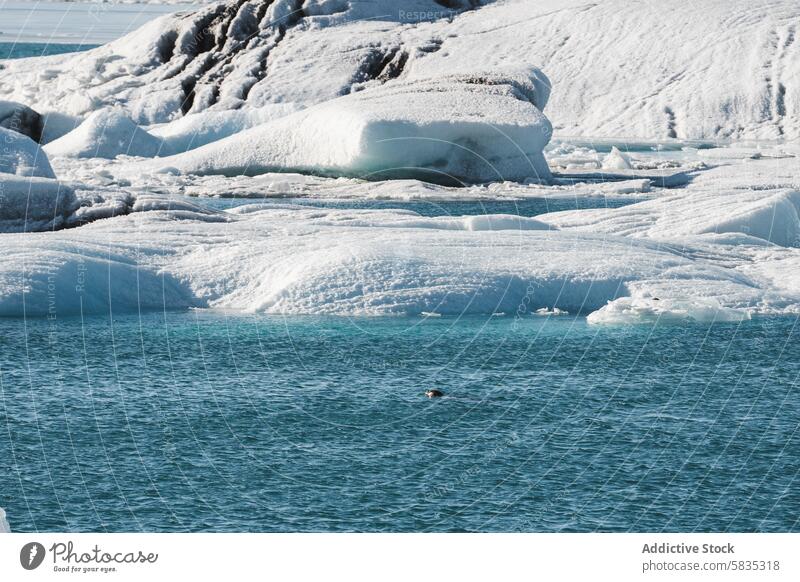 Icy landscape with glacier iceland water cold frost nature environment melt climate arctic freeze chill scenery outdoors travel wilderness remote tranquility