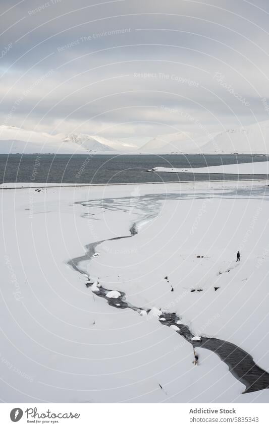 Snow-covered landscape with a winding river in Iceland iceland snow mountain overcast sky serenity winter water cold tranquil nature wilderness white gray scene