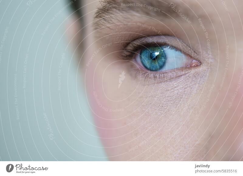 Close-up portrait of a beautiful caucasian woman eye blue blue eyes close-up adult freshness carefree macrophotography glamour human women natural females