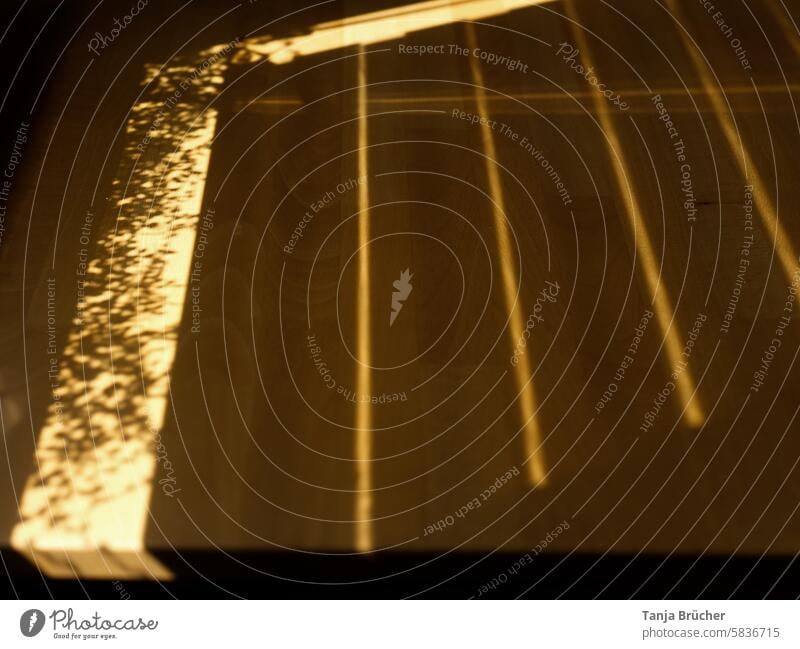 Sunshine paints patterns on the table Play with light and shadow Light and shadow play light and dark light & dark Shadow Shaft of light Shadow play Sunlight