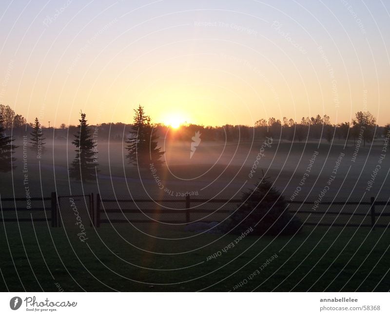 sunrise crap Sunset Sky fog trees morning fence landscape