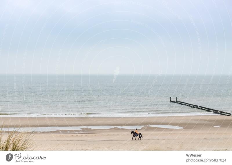 Down there on the beach, a beautifully dressed woman is riding a fancy black horse, just like in the movies! Beach coast ocean North Sea Ocean romantic Sand