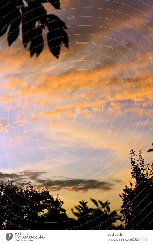 evening clouds Evening altocumulus Menacing Dark Twilight somber colour spectrum Closing time Worm's-eye view Thunder and lightning cumulus cloud Sky background